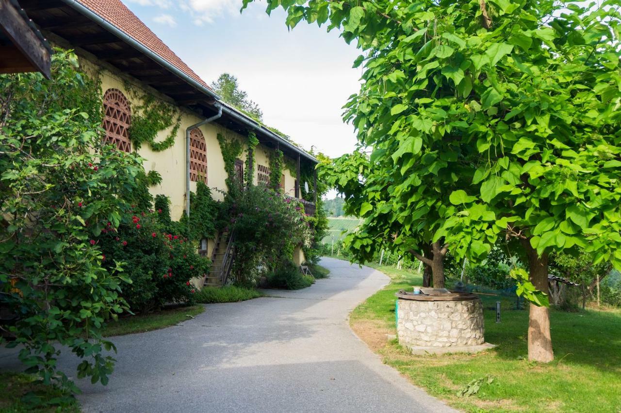 Turisticna Kmetija Vrezner Apartment Zgornja Kungota Exterior foto